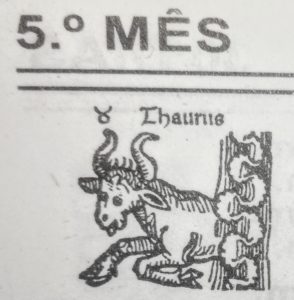 borga-agua-maio-touro